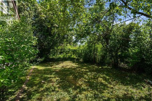 Tons of greenery & trees surrounding the home. - 1246 Kitchener Avenue, Ottawa, ON 