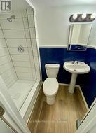 Basement bathroom - 