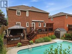 BACKYARD - 