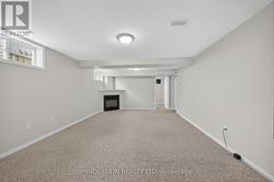Lower level family room - 