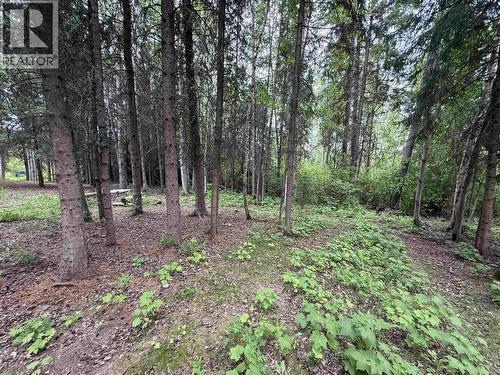 3416 Hayman Crescent, Quesnel, BC - Outdoor