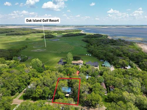 330 Oak Drive, Oak Lake Beach, MB - Outdoor With View
