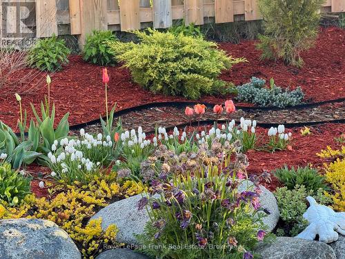 41 Cortland Way, Brighton, ON - Outdoor