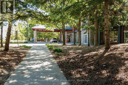 353 - 156 Jozo Weider Boulevard, Blue Mountains, ON - Outdoor