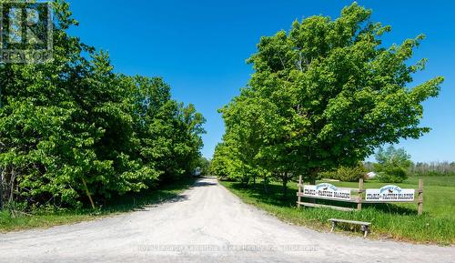 Tree lined drive - 2435 Elm Tree Road, Kawartha Lakes (Fenelon), ON 