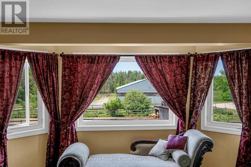 View worth Framing - 2435 Elm Tree Road, Kawartha Lakes (Fenelon), ON 