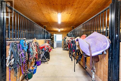 Tack leads to the Arena - 2435 Elm Tree Road, Kawartha Lakes (Fenelon), ON 