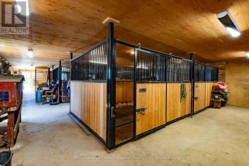 8 Box stalls - 2435 Elm Tree Road, Kawartha Lakes (Fenelon), ON 