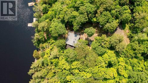 25 Limbert Lane N, Mcdougall, ON 