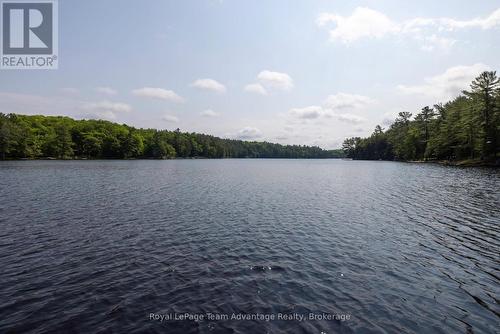 25 Limbert Lane N, Mcdougall, ON 
