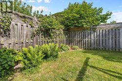 Mature perennial gardens - 