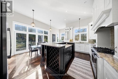 254 Main Street S, Halton Hills, ON - Indoor Photo Showing Kitchen With Upgraded Kitchen