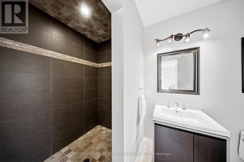 254 Main Street S, Halton Hills, ON - Indoor Photo Showing Bathroom