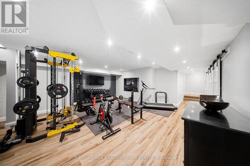 254 Main Street S, Halton Hills, ON - Indoor Photo Showing Gym Room
