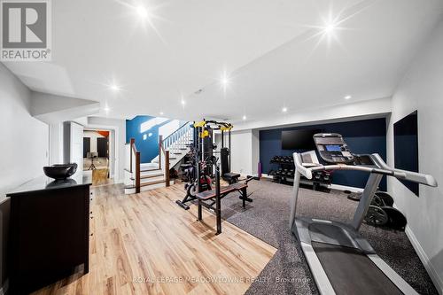 254 Main Street S, Halton Hills, ON - Indoor Photo Showing Gym Room