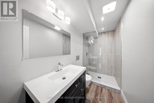 254 Main Street S, Halton Hills, ON - Indoor Photo Showing Bathroom