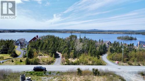 100 Amber Drive, Whitbourne, NL 