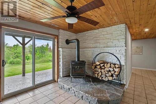 Wood stove - 65 Laplantes Road, Trent Lakes, ON 
