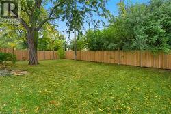 Pool Sized Yard - 