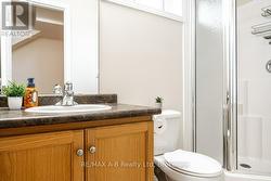 Basement 3 pc. bath - 