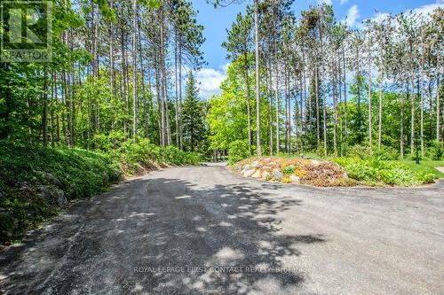 7 Nevis Ridge Drive, Oro-Medonte, ON - Outdoor