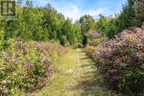 429540 8Th B Concession, Grey Highlands, ON - Outdoor