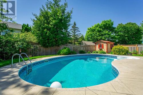 36 Wiltshire Place, Hamilton, ON - Outdoor With In Ground Pool With Backyard