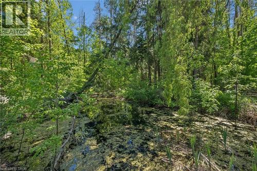 103 Gilkison Street, Elora, ON - Outdoor