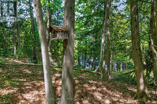 1147 Shadow Lane, Frontenac (Frontenac South), ON - Outdoor