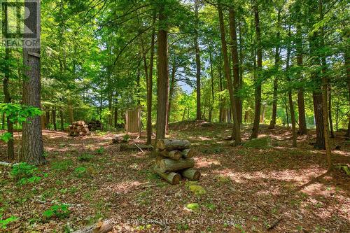 1147 Shadow Lane, Frontenac (Frontenac South), ON - Outdoor