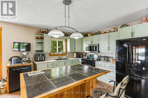 1123 Balmoral Lane, Highlands East (Glamorgan), ON - Indoor Photo Showing Kitchen With Double Sink