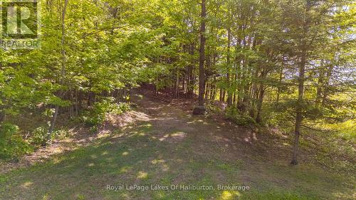 Gentle, driveable pathway to the lake - 1123 Balmoral Lane, Highlands East (Glamorgan), ON - Outdoor