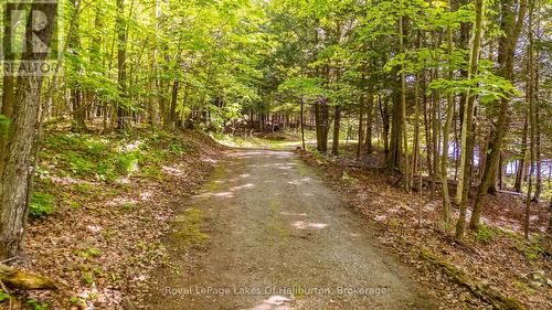 Beautiful pathway - 1123 Balmoral Lane, Highlands East (Glamorgan), ON - Outdoor