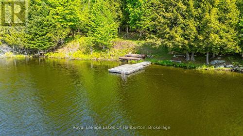 1123 Balmoral Lane, Highlands East (Glamorgan), ON - Outdoor With Body Of Water