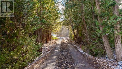 7590 19Th Side Road, King, ON 