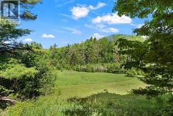 View of fields - 