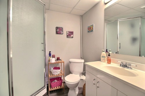 Chambre à coucher - 11 Rue Des Ancêtres, Saint-Benoît-Labre, QC - Indoor Photo Showing Bathroom