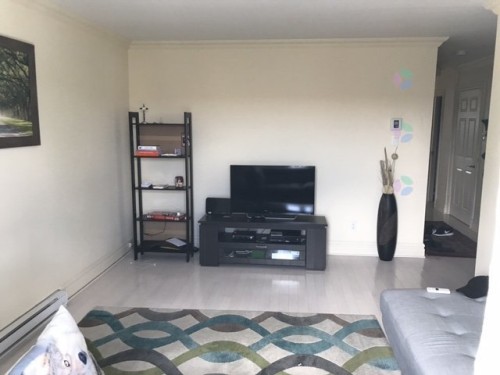 Living Room - 6845 Rue Louis-Dupire, Montréal (Mercier/Hochelaga-Maisonneuve), QC - Indoor