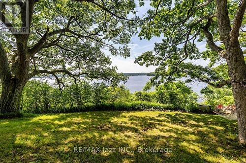 82 Cow Island, Otonabee-South Monaghan, ON 