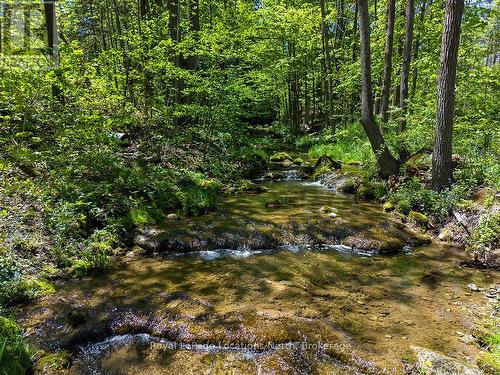 486056 Grey Road 30, Grey Highlands, ON - Outdoor