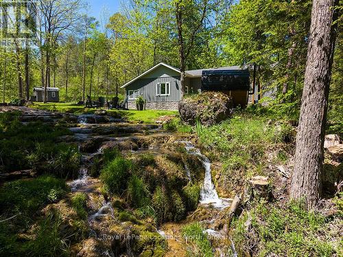486056 Grey Road 30, Grey Highlands, ON - Outdoor
