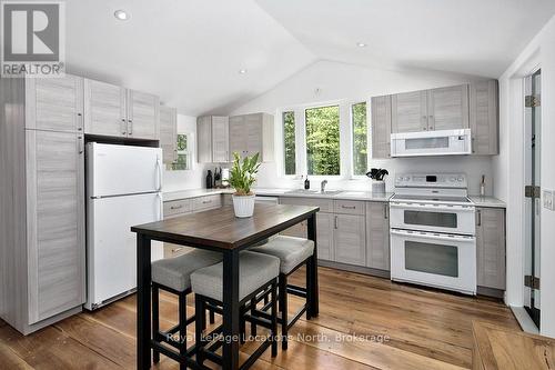 486056 Grey Road 30, Grey Highlands, ON - Indoor Photo Showing Kitchen