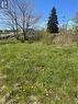 2 Moore'S Valley Road, Torbay, NL 