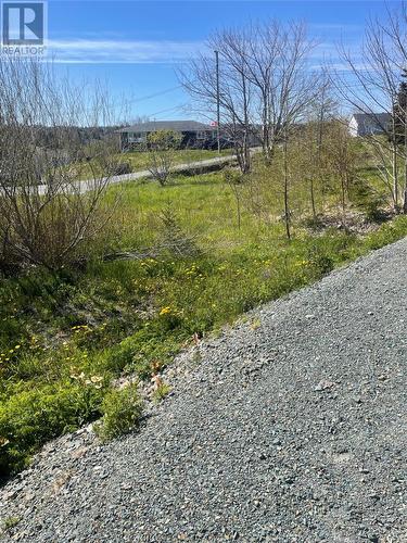 2 Moore'S Valley Road, Torbay, NL 