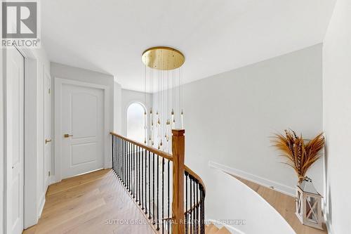 50 Springer Drive, Richmond Hill, ON 