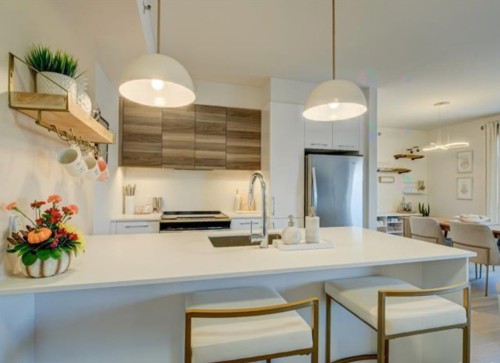 Cuisine - 519-64 Ch. St-François-Xavier, Candiac, QC - Indoor Photo Showing Kitchen With Upgraded Kitchen