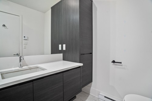 Bathroom - 704-1025 Rue De La Commune E., Montréal (Ville-Marie), QC - Indoor Photo Showing Bathroom