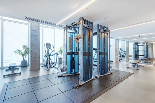Exercise Room - 704-1025 Rue De La Commune E., Montréal (Ville-Marie), QC - Indoor Photo Showing Gym Room