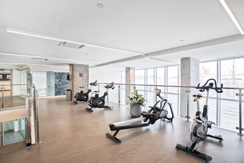 Exercise Room - 704-1025 Rue De La Commune E., Montréal (Ville-Marie), QC - Indoor Photo Showing Gym Room