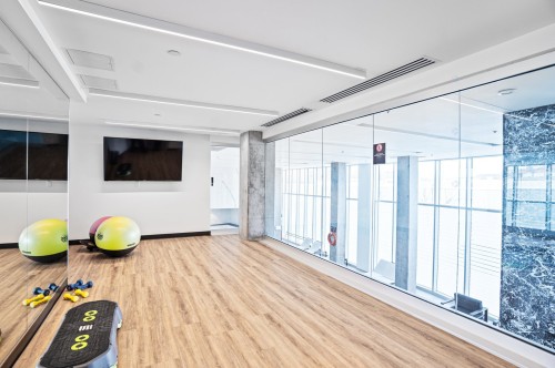 Exercise Room - 704-1025 Rue De La Commune E., Montréal (Ville-Marie), QC - Indoor Photo Showing Other Room